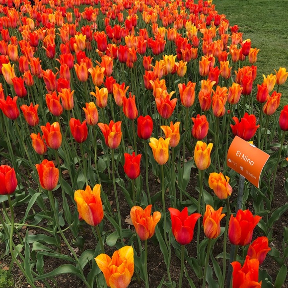 Meet your Posher, Lisa - Picture 2 of 2